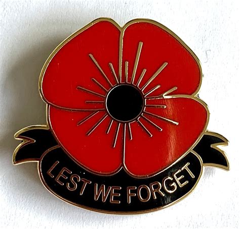 lest we forget poppy pin